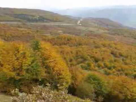 SEVDA GÜL MEŞELİKTEN