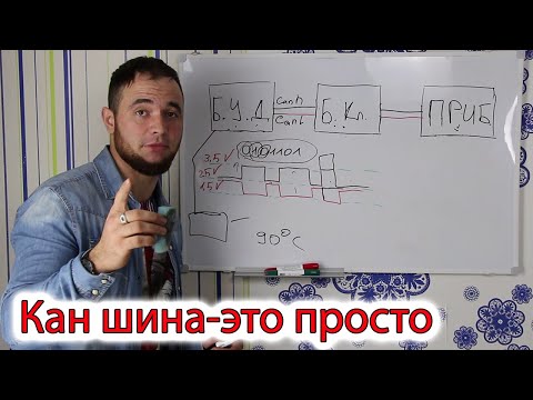 Кан шина, что это? Поймет школьник! принцип работы