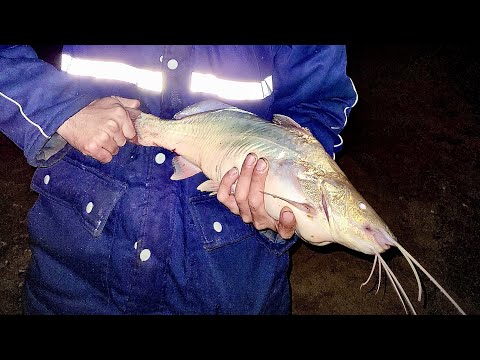 Pesca en FIGHIERA, Santa Fe.