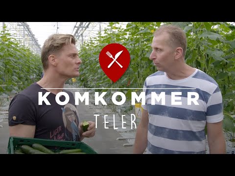 , title : 'Snack komkommers kweken - Tuinbouwbedrijf van den Beuken'