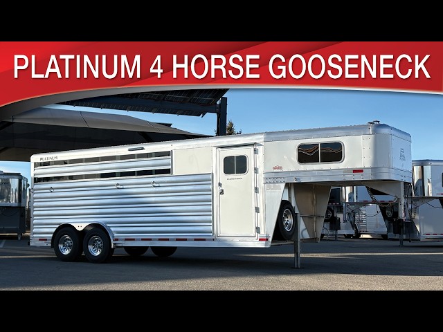 Preview image of Platinum Coach 4 Horse Gooseneck youtube video