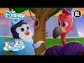 T.O.T.S. | ⛅ De Verlegen Schildpad | Disney Channel NL