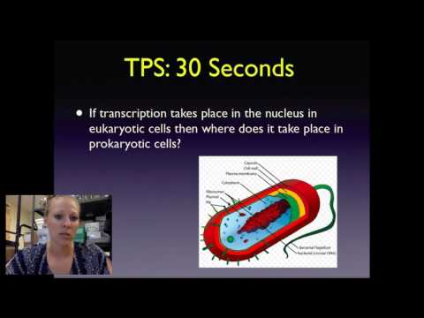 CP Bio: 13.1 RNA and Transcription