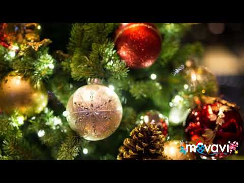 Adriana Spunei-COLIND