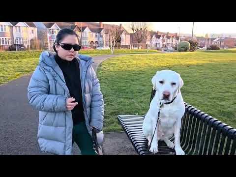 Marker Training from Habeeba 