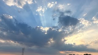 The Woodland Chronicles Week 24 – Testing our Faith