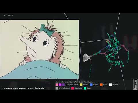 Blinky Bill - Babysitter | Episode 22