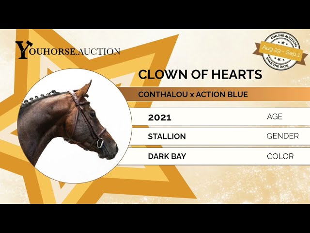 Clown of Hearts showvideo
