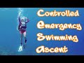 Important scuba diving ascending safety skill explained: ⛑ The CESA!