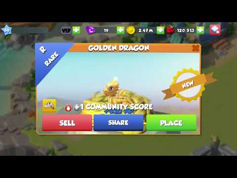 DML- golden dragon hatching