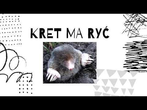 Krzysztof Kleszcz (Prod. JUDECA BEAT) - Kret ma ryć