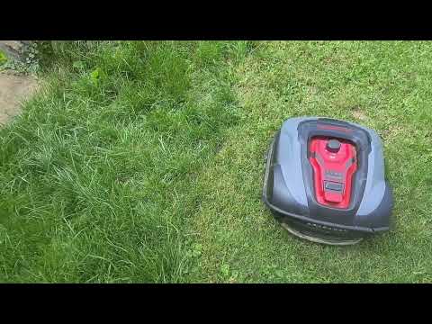 Mähkante nach 2 Wochen Betrieb mit Powerworks P15