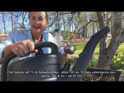 Jenny från bokashi.se - Del 5 - Lakvatten.