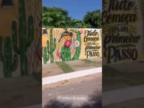 Minha Terrinha ,Miltom Brandão  PI/ linda pintura🥰
