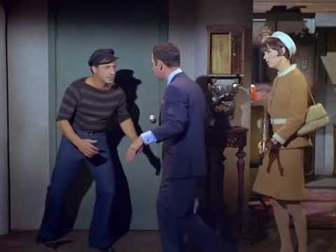 Get Smart Pet shop fight