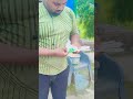 15 August Kabootarattitude Pigeonattitude Kabootar Bird Attitude