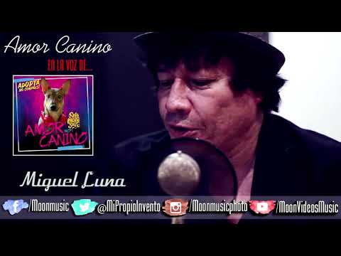 MIGUEL LUNA / EN LA VOZ DE / SOLAMENTESUIT / AMOR CANINO