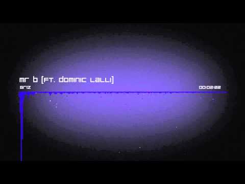 GRiZ : Mr B (ft. Dominic Lalli)