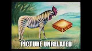 New Model Army - You Weren't There