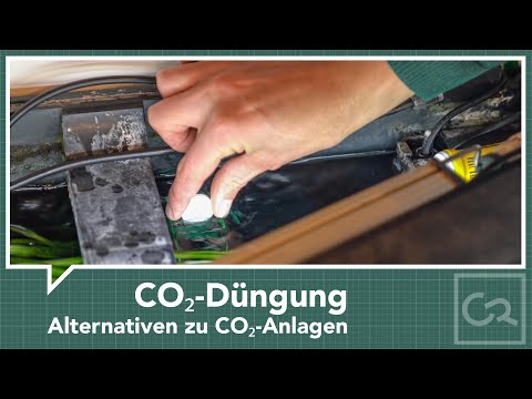 CO₂-Düngung im Aquarium – Alternativen zu CO₂-Anlagen