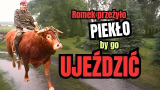 ROMEK pierwszy raz dosiadł nowego BYKA! Kilka razy zrzucił go na GLEBĘ