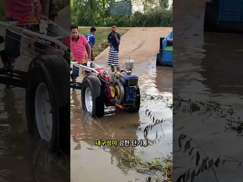 이것들은 태국에서 농업용으로 개조된 포뮬러 1 경주용 트랙터들입니다!