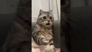 Download lagu Not Think About This ๐โ #shortvideos mp3 Download lagu Not Think About This ๐โ #shortvideos mp3