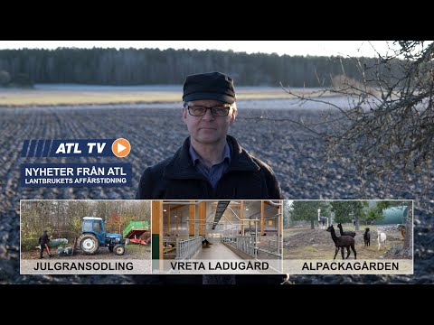 ATL TV: Skogsutredningen • Vreta ladugård • Julgransodling • Alpackagården