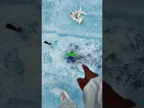 👀🧊 they found what was in Drake's ice