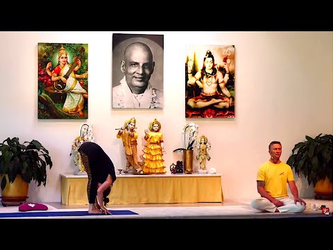 Yogastunde Mittelstufe Yoga Vidya Grundreihe "Geistig" mit Rama Schwab 09:15 Uhr 24.06.2020
