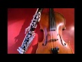 Clarinet Violin Duet - Pirates of the Caribbean 