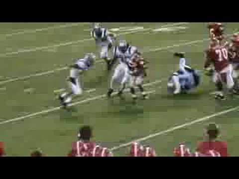 ricebirds-2008-08-29-028.mpg