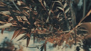 Gstn -  ☷ Kūn BeatTape ☷