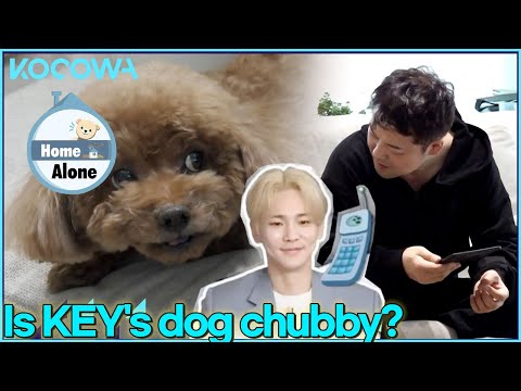 Hyun Moo tells KEY his dog is fat l Home Alone Ep 437 [ENG SUB]
