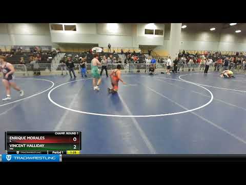 220 Lbs Champ. Round 1 - Enrique Morales, IL Vs Vincent Halliday, MN 5724