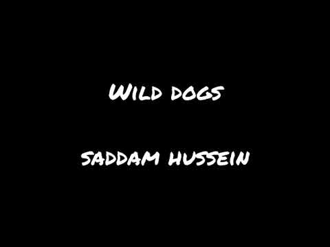 Wild dogs  Saddam Hussein