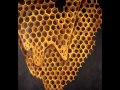 Telefon Tel Aviv - What It Was Will Never Again 