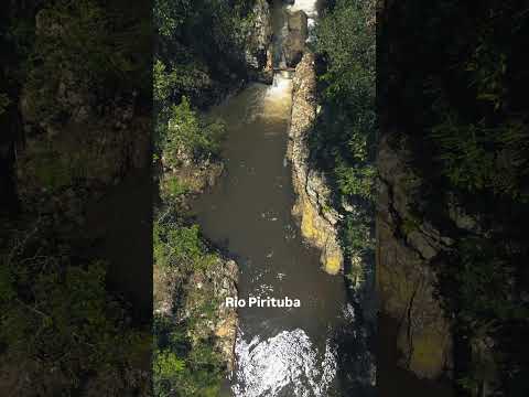 O paraíso escondido que você precisa conhecer em SP! 🌲✨