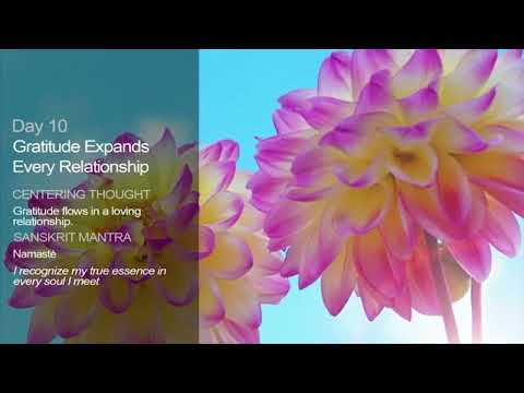 Day 10 | Manifesting Grace Through Gratitude | 21 Day Meditation Challenge