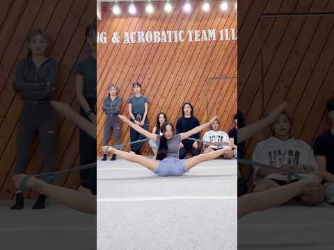 유연성 챌린지⁉️😱 Flexibility Challenge