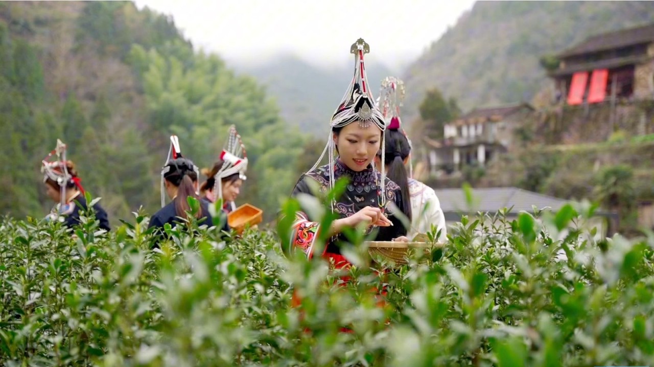 Colección de primavera: Banquete de té primaveral