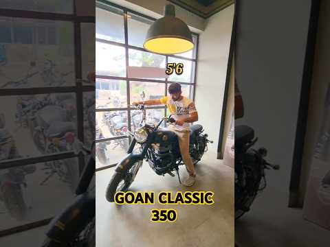 Royal Enfield Goan Classic 350 Seat Height Check for Average Height Riders 🤯 #royalenfield #shorts