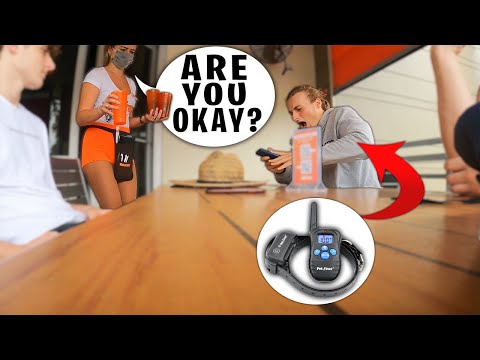 Shock Collar Punishment ON MY BROTHER!