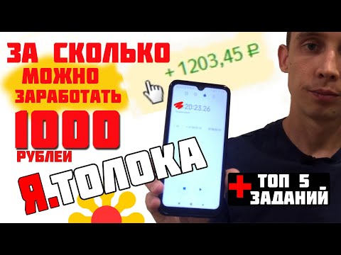 Сколько можно заработать в Яндекс Толока? Заработал 1000 рублей за...