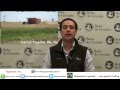 Panorama Agricola Semanal - Relevamiento al 13/12/2012