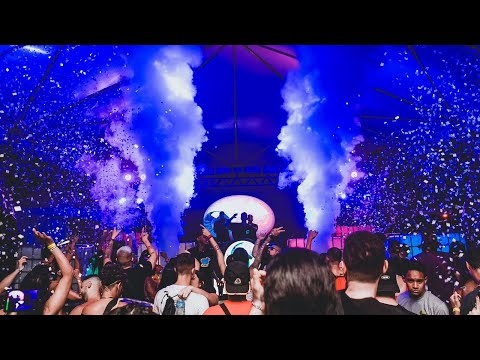 SCARLATELLI - Insônia 2024