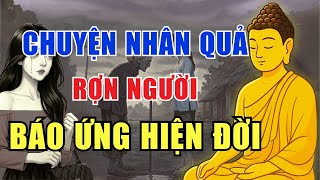3 Câu Chuyện Nhân Quả Có Thật Khiến Người Nghe Rợn Mình | Kể Chuyện Đêm Khuya