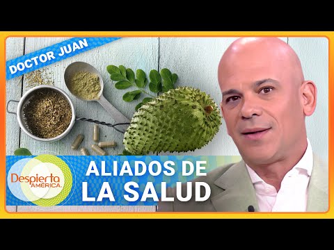 Secretos de la moringa y guanábana para una vida saludable | Dr. Juan | Despierta América