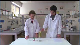 Lz ZT C1313 13.1 La lacrima di ghiaccio   - Video Zanichelli