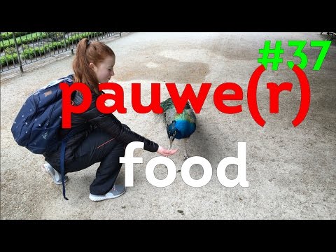 Pauwe(r)food - Triffis TV Vlog 37